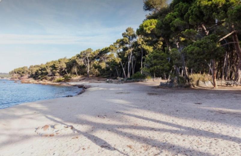 Charmant Studio A Saint Mandrier Sur Mer Lejlighed Eksteriør billede